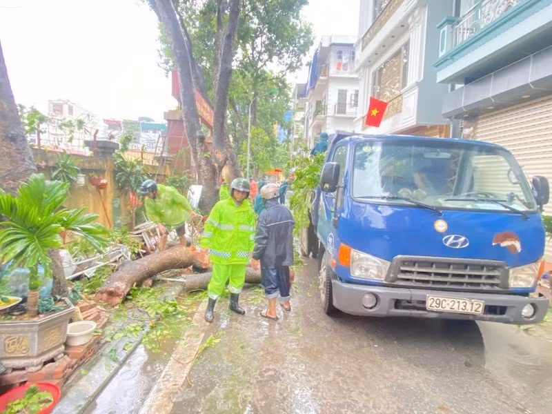 Lực lượng chức năng phường Long Biên xử lý cây xanh gãy đổ sau trận dông lốc ngày 19/7.