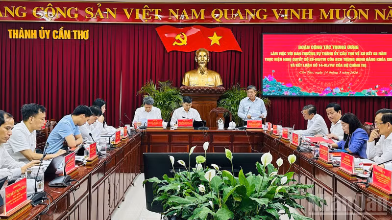 ndo_br_thiet-ke-chua-co-ten-2.png