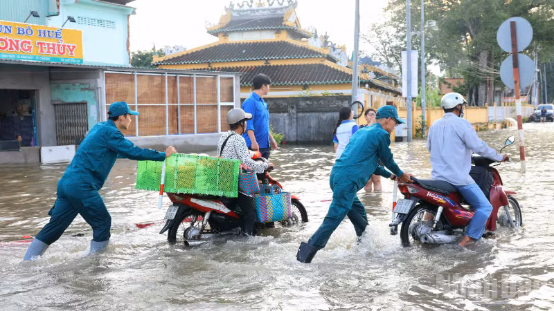 ndo_br_thiet-ke-chua-co-ten-3.png