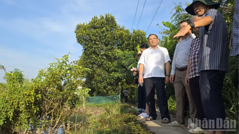 Ông Trần Chí Hùng (áo trắng), Phó Chủ tịch Ủy ban nhân dân thành phố Cần Thơ kiểm tra các tuyến đê bao. (Ảnh: VĂN ÚT) 