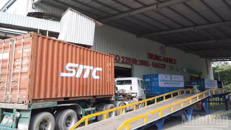 Hoạt động xuất khẩu của các doanh nghiệp tăng mạnh trong những tháng đầu năm 2025.