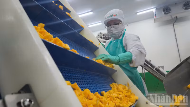 Kết quả tăng trưởng xuất nhập khẩu cho thấy sự chủ động thích ứng của cộng đồng doanh nghiệp thành phố trước những biến động của kinh tế thế giới.