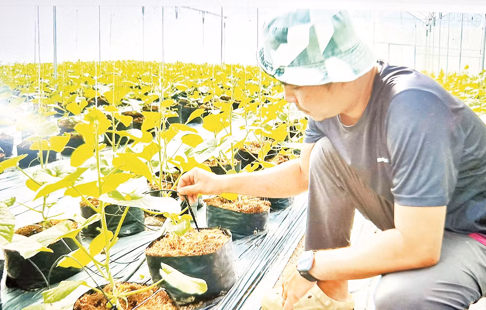 Tỉnh Đồng Nai xây dựng thành công nhiều mô hình nông nghiệp xanh. 