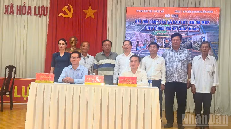 Xã Hỏa Lựu phối hợp với Công ty cổ phần Westfood Hậu Giang tổ chức hội nghị liên kết và bao tiêu khóm MD2 theo chuỗi giá trị xuất khẩu.