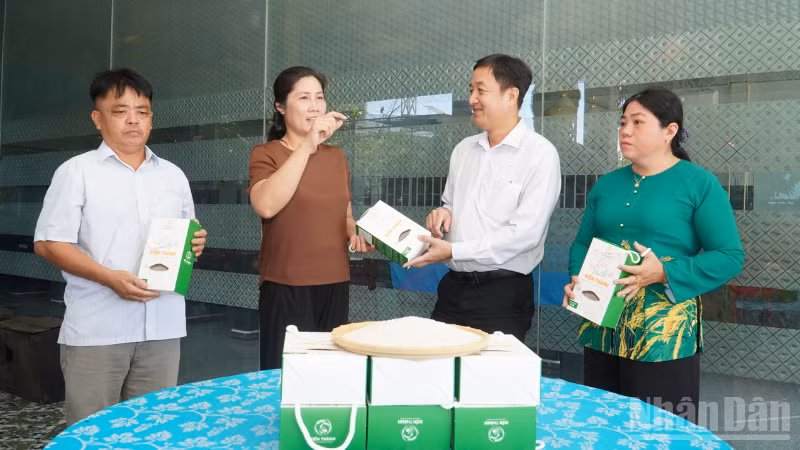 ndo_br_thiet-ke-chua-co-ten-4.png