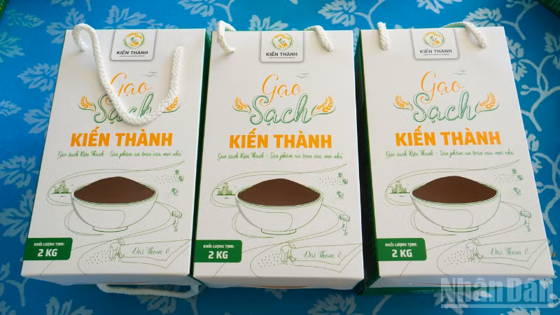 ndo_br_thiet-ke-chua-co-ten-3.png