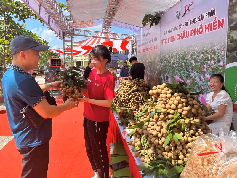 12-8-anh-nhan.jpg