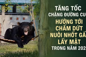 Ảnh thiết kế có yếu tố AI. 
