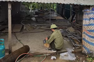 Chính quyền địa phương hỗ trợ người dân di chuyển tài sản, tháo dỡ công trình, vật kiến trúc...