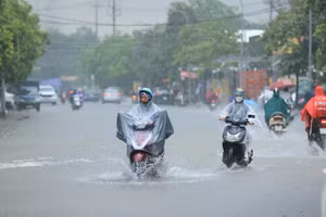 (Ảnh minh họa: THÀNH ĐẠT)