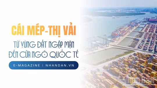 Cái Mép-Thị Vải, từ vùng đất ngập mặn đến cửa ngõ quốc tế