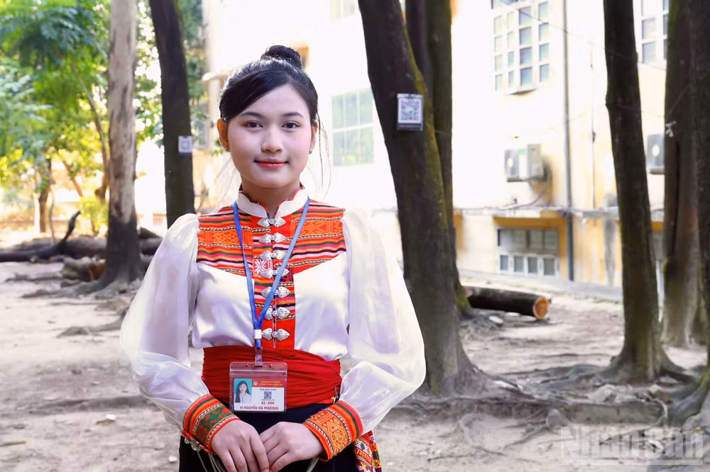 ndo_br_vi-nguyen-ha-phuong.jpg