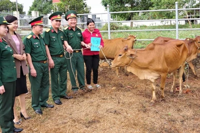 Điểm sáng trong thực hiện chương trình mục tiêu quốc gia ở vùng đồng bào dân tộc thiểu số và miền núi.