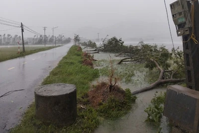 Tính đến 19 giờ ngày 25/8, bão số 5 đã đi vào đất liền Hà Tĩnh với sức gió mạnh nhất cấp 10-11, giật cấp 13. (Ảnh: Nhandan.vn)