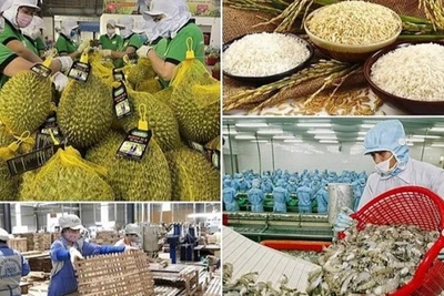 Ngành nông nghiệp đặt mục tiêu thực hiện kim ngạch xuất khẩu toàn ngành đạt 65 tỷ USD trong năm 2025.