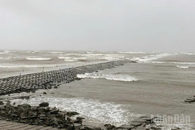 Bộ Nông nghiệp và Môi trường yêu cầu các địa phương khẩn trương triển khai biện pháp ứng phó với mưa lớn, lũ, ngập lụt, lũ quét và sạt lở đất. (Ảnh: nhandan.vn)