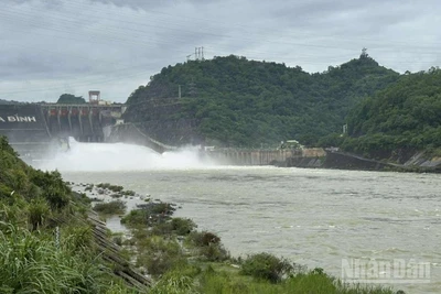 Công ty Thủy điện Hòa Bình được lệnh đóng một cửa xả đáy hồ thủy điện Hòa Bình từ 18 giờ ngày 18/8.