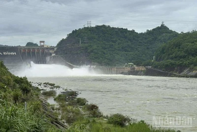 Bộ Nông nghiệp và Môi trường, Bộ trưởng Nông nghiệp và Môi trường đã lệnh Giám đốc Công ty thủy điện Hòa Bình đóng thêm một cửa xả đáy hồ thủy điện Hòa Bình từ 18 giờ ngày 19/8.