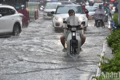 Ban Chỉ đạo Phòng thủ dân sự quốc gia đề nghị các địa phương khu vực bắc bộ và ven biển từ Quảng Ninh đến Quảng Ngãi chủ động ứng phó không khí lạnh, lốc, sét, mưa đá và gió mạnh trên biển.