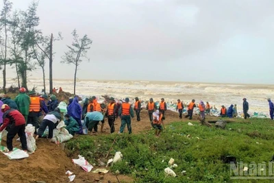 Bộ Nông nghiệp và Môi trường đề nghị các địa phương khẩn trương xử lý, huy động lực lượng, vật tư, phương tiện, sẵn sàng phương án bảo vệ trọng điểm xung yếu. (Ảnh: NGÔ TUẤN)