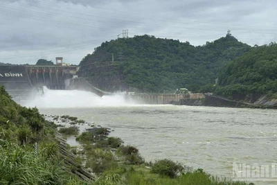 Bộ Nông nghiệp và Môi trường yêu cầu Công ty Thủy điện Hòa Bình đóng 1 cửa xả đáy từ 17 giờ ngày 30/9.