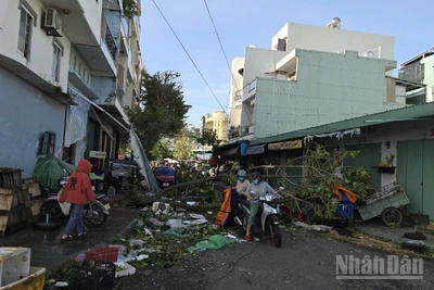 Tính đến 11 giờ ngày 7/11, bão số 13 đã gây thiệt hại nặng nề về người và tài sản tại các tỉnh Tây Nguyên và khu vực duyên hải Trung bộ.