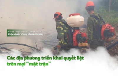 Mùa hanh khô, nguy cơ cháy rừng luôn rình rập, đe dọa “lá phổi xanh” của đất nước.