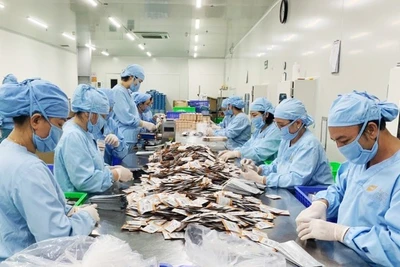 Tiêu dùng xanh gõ cửa, thương mại điện tử trước thách thức bền vững.