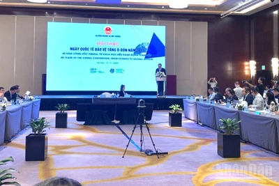 Hội thảo “Hoạt động bảo vệ tầng ozone hướng tới chuyển đổi xanh: Thúc đẩy hợp tác liên chính phủ, hợp tác công tư”.