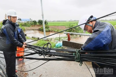 Các lực lượng chức năng đang khẩn trương khắc phục hậu quả sau bão. (Ảnh: ĐÀO PHƯƠNG)