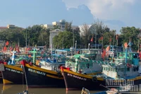 Nhiều tàu cá hết hạn đăng kiểm.