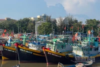 Tăng cường tuyên truyền tàu cá đánh bắt hợp pháp