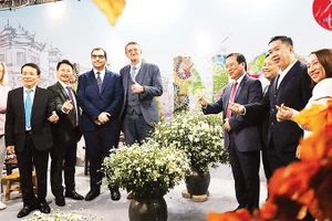 Thu hút khách du lịch trong “mùa thương nhớ”