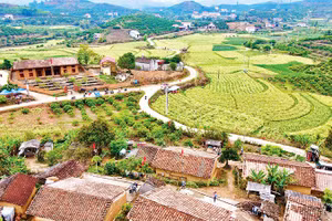 Một góc thôn Bắc Hoa.