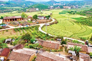 Một góc thôn Bắc Hoa.