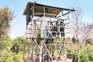 Nhân viên Ban quản lý rừng Đắk Mai bảo vệ rừng và phòng, chống cháy từ trên tháp cao hơn 40m.