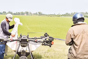 Nông dân xã Mỹ Thành, tỉnh Đồng Tháp sử dụng máy bay không người lái, để chăm sóc đồng ruộng.