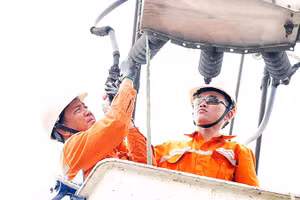Công nhân ngành điện Thành phố Hồ Chí Minh sửa chữa, kiểm tra lưới điện để bảo đảm công tác cung cấp điện ổn định, liên tục.