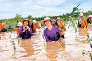 Du khách trải nghiệm du lịch xanh, thân thiện với môi trường tại tỉnh Vĩnh Long.