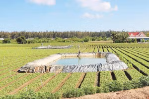 Dự án hạ tầng hồ chứa nước ngọt dọc bờ sông Láng Thé hoàn thành sẽ bảo đảm an ninh nguồn nước cho các xã, phường ven biển tỉnh Vĩnh Long.