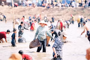 Người dân xã Lộc Thành nô nức xuống bàu nước bắt cá trong ngày hội Phá bàu.
