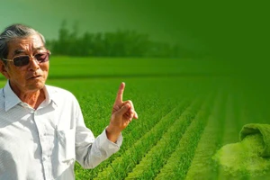Khi hạt gạo trở thành “đại sứ nông nghiệp”