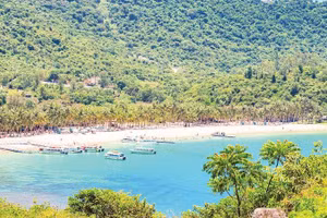 Các tàu du lịch phục vụ tour trong ngày tại Bãi Ông - Cù Lao Chàm.