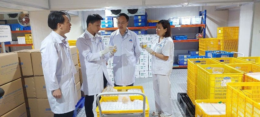 Tổng Giám đốc Nguyễn Văn Điệp kiểm tra sản phẩm vaccine AVAC ASF LIVE chuẩn bị xuất khẩu.