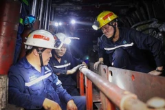 Cán bộ, công nhân Công ty Than Nam Mẫu lắp đặt hệ thống lò chợ cơ giới hóa NM I-6-1B.