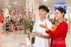 Hãng hàng không Vietjet triển khai mở bán thêm 390 nghìn chỗ, tương đương gần 1.800 chuyến bay bổ sung trong giai đoạn cao điểm từ ngày 2/2 đến 3/3/2026.