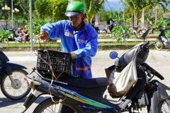 Người dân nhận sinh kế là gà giống để phát triển sinh kế hàng ngày.