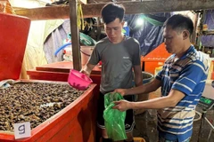 Cơ sở các đối tượng ngâm ốc bằng hóa chất để đưa ra thị trường tiêu thụ. (Ảnh: Công an cung cấp)