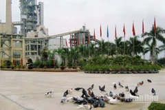 Giai đoạn 2025-2030, VICEM định hướng tập trung thi đua chuyển đổi số toàn diện, đổi mới quản trị doanh nghiệp nhà nước theo hướng hiện đại, minh bạch, hiệu quả; phát triển "xi-măng xanh, xi-măng giảm carbon",...