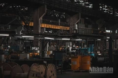 Tổ chức Climateworks Centre đề xuất một lộ trình chuyển đổi riêng nhằm đưa Thành phố Hồ Chí Minh, trung tâm kinh tế hàng đầu cả nước, trở thành khu công nghiệp phát thải ròng bằng 0 (Net Zero Industrial Precinct - NZIP).